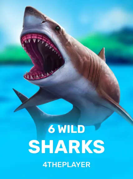 6 Wild Sharks kolikkopeli