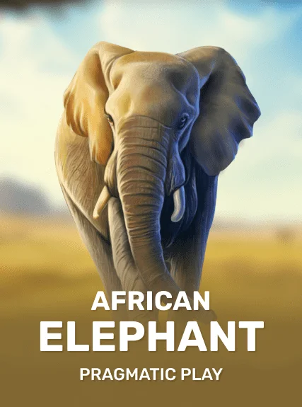 African Elephant kolikkopeli