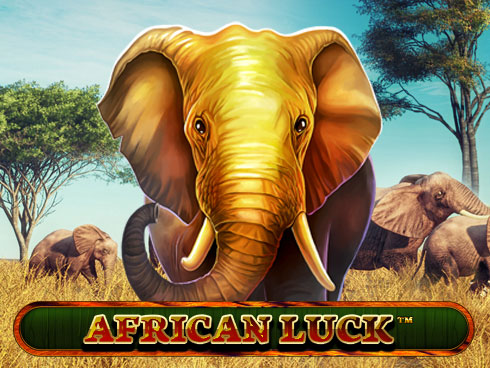 African Luck kolikkopeli