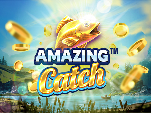 Amazing Catch kolikkopeli