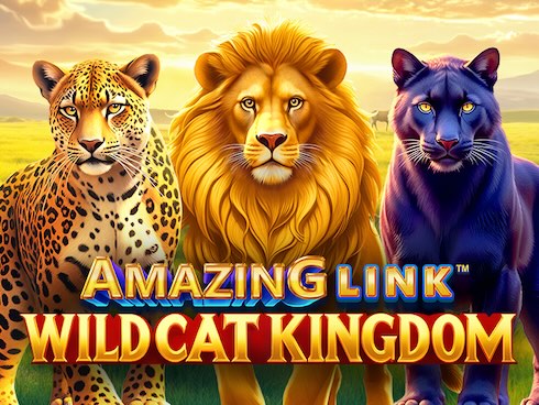Amazing Link WildCat Kingdom kolikkopeli