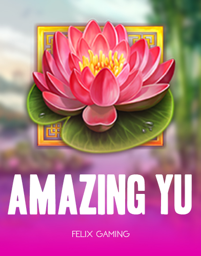Amazing Yu kolikkopeli