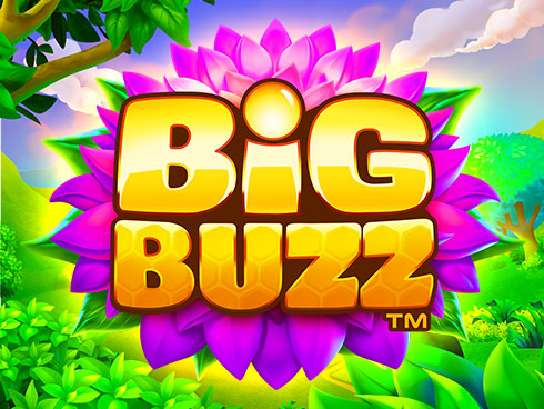 Big Buzz kolikkopeli