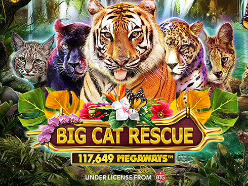 Big Cat Rescue Megaways kolikkopeli