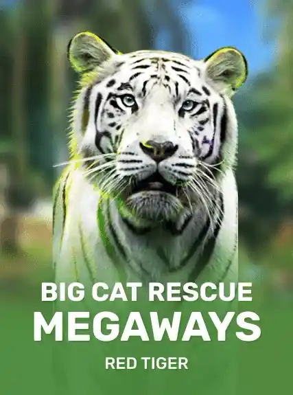 Big Cat Rescue MegaWays kolikkopeli