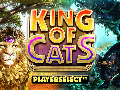 King of Cats kolikkopeli