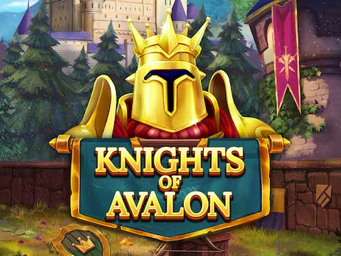 Knights Of Avalon kolikkopeli