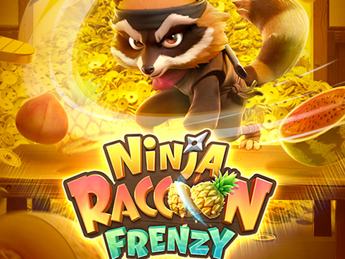 Ninja Raccoon Frenzy kolikkopeli