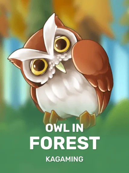 Owl In Forest kolikkopeli