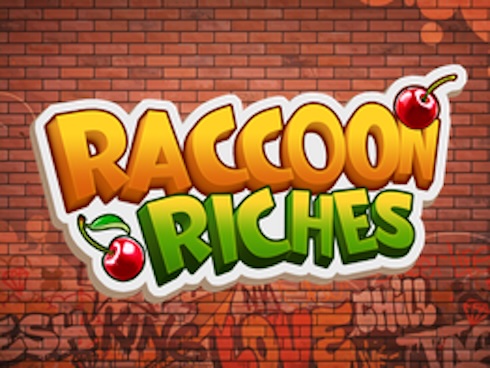 Raccoon Riches kolikkopeli