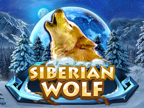 Siberian Wolf kolikkopeli