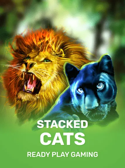 Stacked Cats kolikkopeli