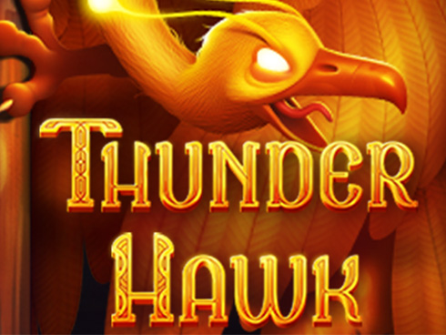 Thunder Hawk kolikkopeli
