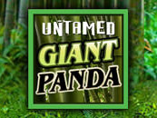 Untamed - Giant Panda kolikkopeli