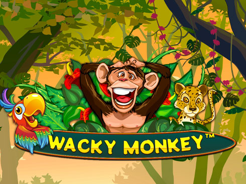 Wacky Monkey kolikkopeli