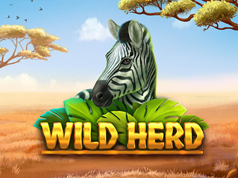 Wild Herd kolikkopeli
