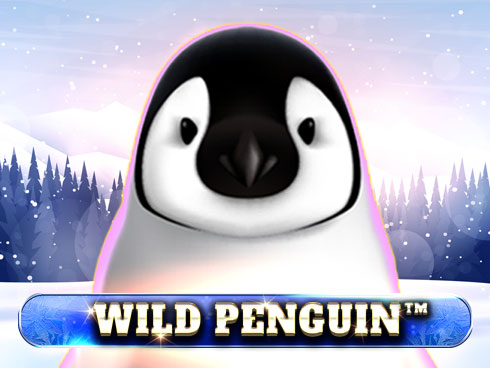 Wild Penguin kolikkopeli