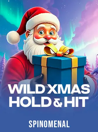 Wild Xmas - Hold and Hit kolikkopeli