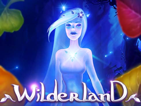Wilderland kolikkopeli