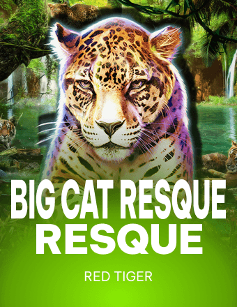 Big Cat Rescue MegaWays kolikkopeli